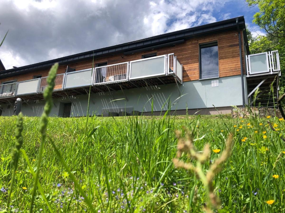 Vila Sky One & Two Smržovka Exteriér fotografie